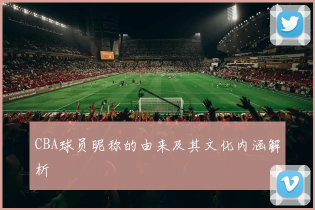 CBA球员昵称的由来及其文化内涵解析