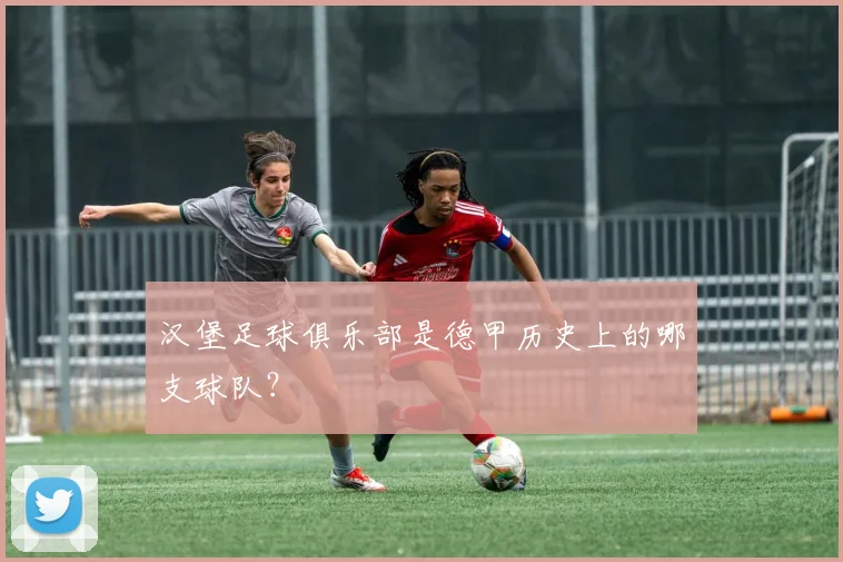 汉堡足球俱乐部是德甲历史上的哪支球队？