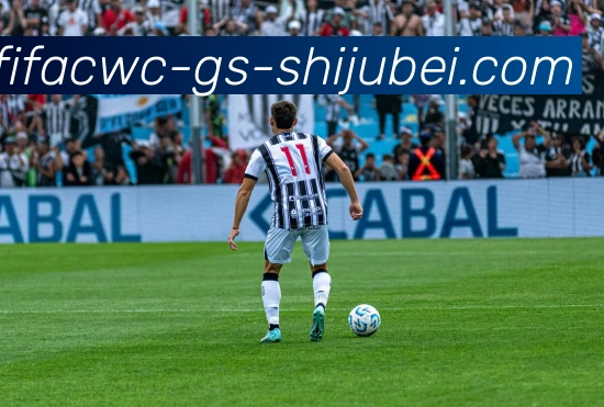 世界杯直播平台生态图